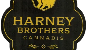 Harney Brothers at Yerba Buena