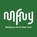 MFNY brand guide - Yerba Buena Brooklyn dispensary