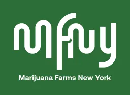 MFNY at Yerba Buena