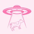 Space Cow brand guide - Yerba Buena Brooklyn dispensary